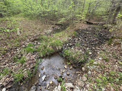 107± Acres of Prime Hunting Land with Mountain Views in Tennessee - image 44