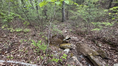 107± Acres of Prime Hunting Land with Mountain Views in Tennessee - image 13