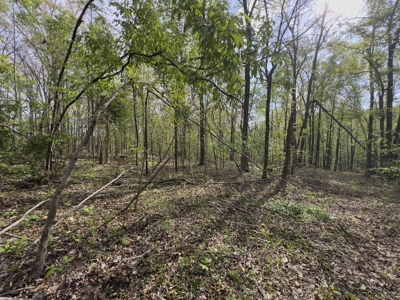6.01 Private, Charming, Wooded Acres in a Prime TN Location - image 14