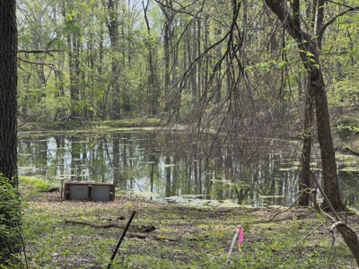 6.01 Private, Charming, Wooded Acres in a Prime TN Location - image 8