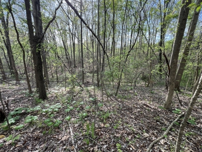 6.01 Private, Charming, Wooded Acres in a Prime TN Location - image 18