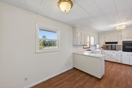 24 ac of farmland and timber in Barnwell County ready for you - image 3