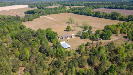 24 ac of farmland and timber in Barnwell County ready for you - image 37