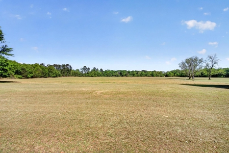 24 ac of farmland and timber in Barnwell County ready for you - image 31