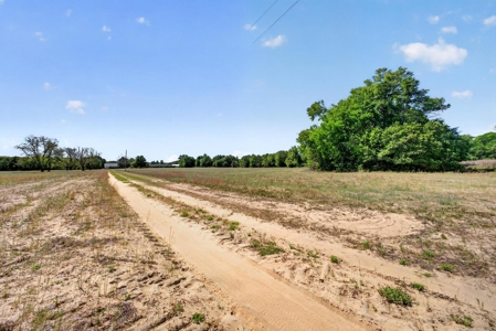 24 ac of farmland and timber in Barnwell County ready for you - image 33