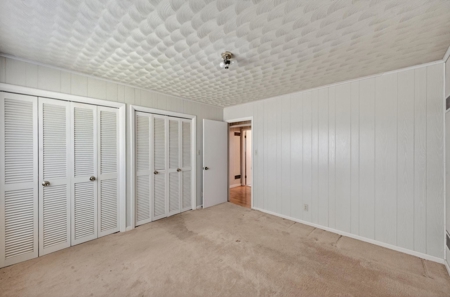 24 ac of farmland and timber in Barnwell County ready for you - image 16