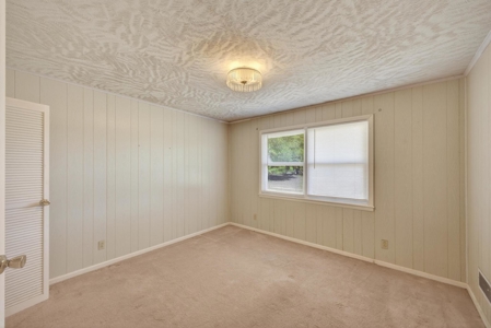 24 ac of farmland and timber in Barnwell County ready for you - image 17