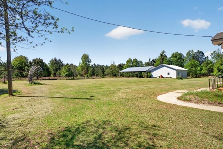 24 ac of farmland and timber in Barnwell County ready for you - image 30