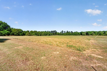 24 ac of farmland and timber in Barnwell County ready for you - image 32