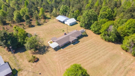 24 ac of farmland and timber in Barnwell County ready for you - image 35