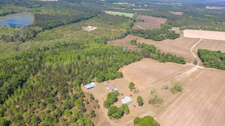24 ac of farmland and timber in Barnwell County ready for you - image 39