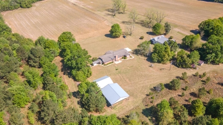 24 ac of farmland and timber in Barnwell County ready for you - image 36