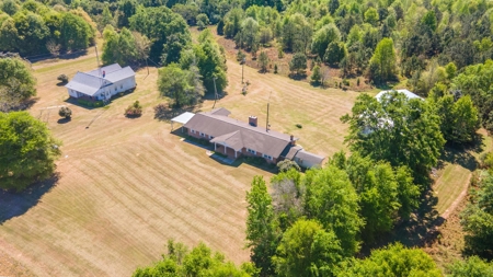 24 ac of farmland and timber in Barnwell County ready for you - image 34
