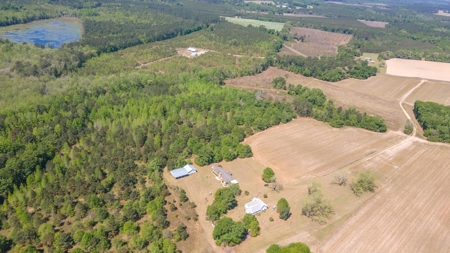 24 ac of farmland and timber in Barnwell County ready for you - image 38