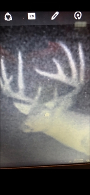 Tensas Parish Duck and Deer Hunting Property