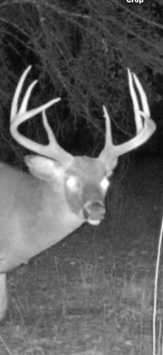Tensas Parish Duck and Deer Hunting Property