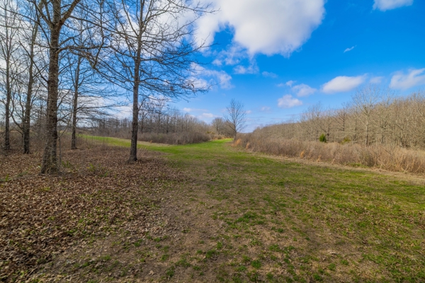 Tensas Parish Duck and Deer Hunting Property