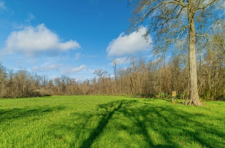 Tensas Parish Duck and Deer Hunting Property - image 3