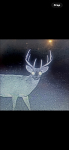 Tensas Parish Duck and Deer Hunting Property - image 31