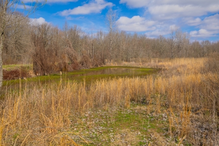 Tensas Parish Duck and Deer Hunting Property - image 10