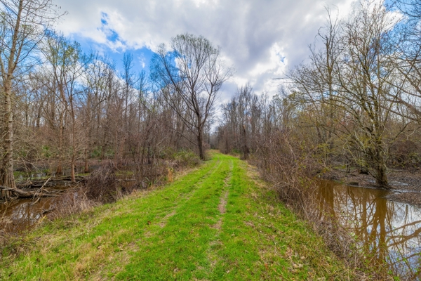 Tensas Parish Duck and Deer Hunting Property