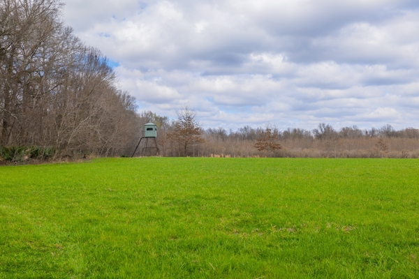 Tensas Parish Duck and Deer Hunting Property