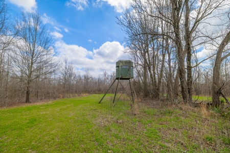Tensas Parish Duck and Deer Hunting Property - image 16