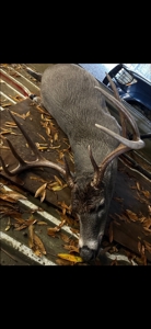 Tensas Parish Duck and Deer Hunting Property - image 30