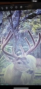 Tensas Parish Duck and Deer Hunting Property - image 32