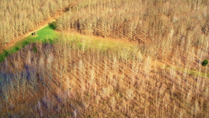 Tensas Parish Duck and Deer Hunting Property