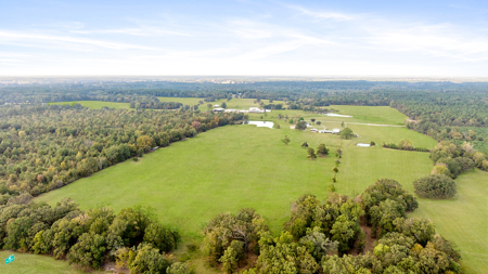 Ranch Land For Sale New Boston Texas - image 4