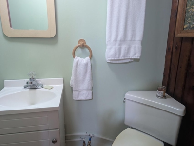 Northern MI 2-Bedroom Cabin in Canada Creek Ranch, Atlanta MI - image 35