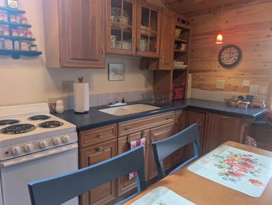 Northern MI 2-Bedroom Cabin in Canada Creek Ranch, Atlanta MI - image 9