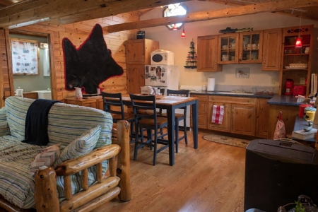 Northern MI 2-Bedroom Cabin in Canada Creek Ranch, Atlanta MI - image 11