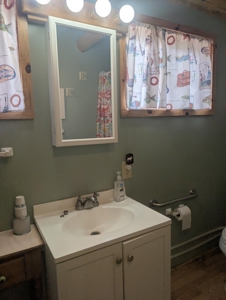 Northern MI 2-Bedroom Cabin in Canada Creek Ranch, Atlanta MI - image 30