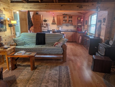 Northern MI 2-Bedroom Cabin in Canada Creek Ranch, Atlanta MI - image 20