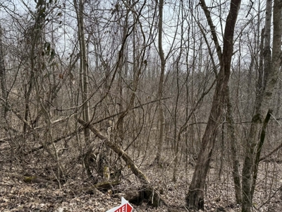 Unrestricted Lot in Albany, Kentucky - image 5