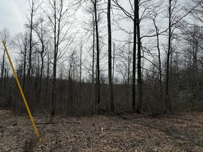 Unrestricted Lot in Albany, Kentucky - image 12