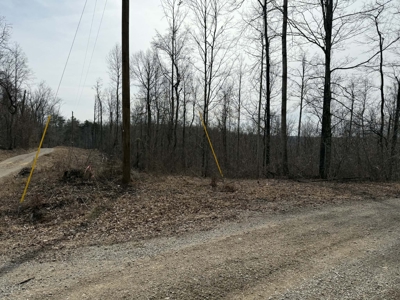 Unrestricted Lot in Albany, Kentucky - image 11