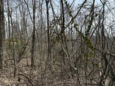 Unrestricted Lot in Albany, Kentucky - image 6