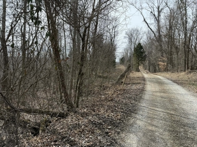 Unrestricted Lot in Albany, Kentucky - image 1
