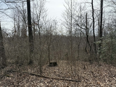 Unrestricted Lot in Albany, Kentucky - image 7