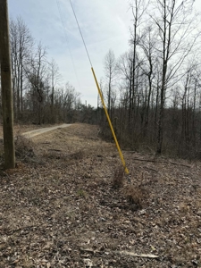 Unrestricted Lot in Albany, Kentucky - image 14