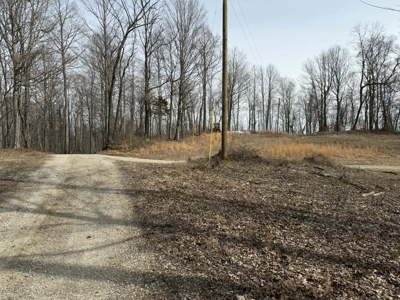 Unrestricted Lot in Albany, Kentucky - image 8
