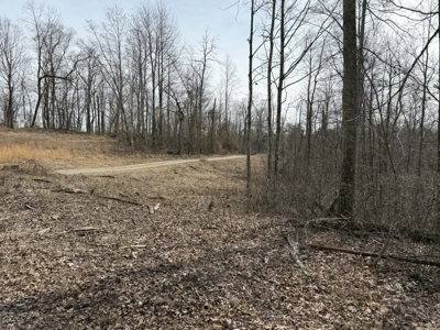 Unrestricted Lot in Albany, Kentucky - image 9