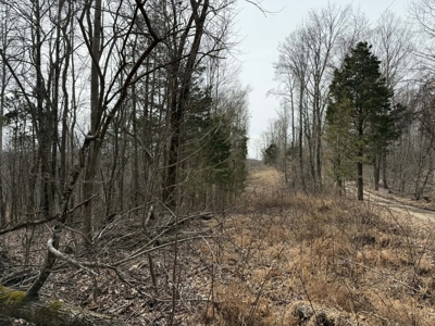 Unrestricted Lot in Albany, Kentucky - image 3