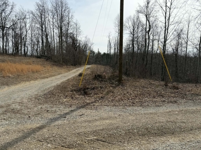 Unrestricted Lot in Albany, Kentucky - image 10