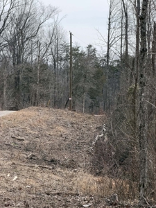 Unrestricted Lot in Albany, Kentucky - image 15