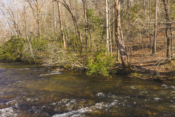 Acreage for Sale Adjoining Primland Resort