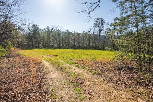 Acreage for Sale Adjoining Primland Resort